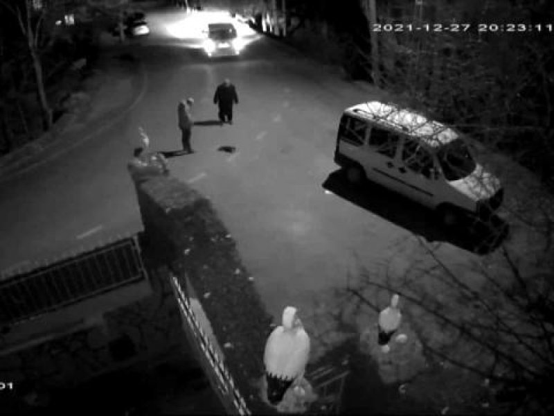 Çarptığı yaralı kediyi yolda bırakmadı